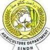 AES