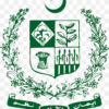 PSO